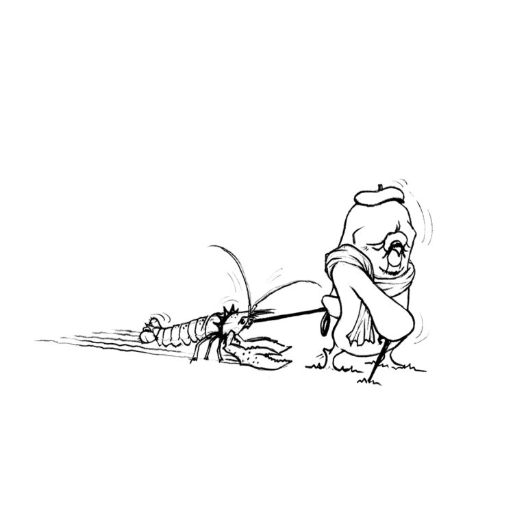 Des pigeons de la grisaille et du panache ! Du comic strip à l'humour volailler au récit urbain immanquable ! Par LATR