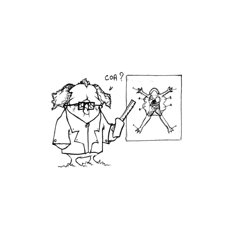 narration visuelle comic strip humour dessin de presse éditorial Critique illustrée Découpage narratif Récit visuel