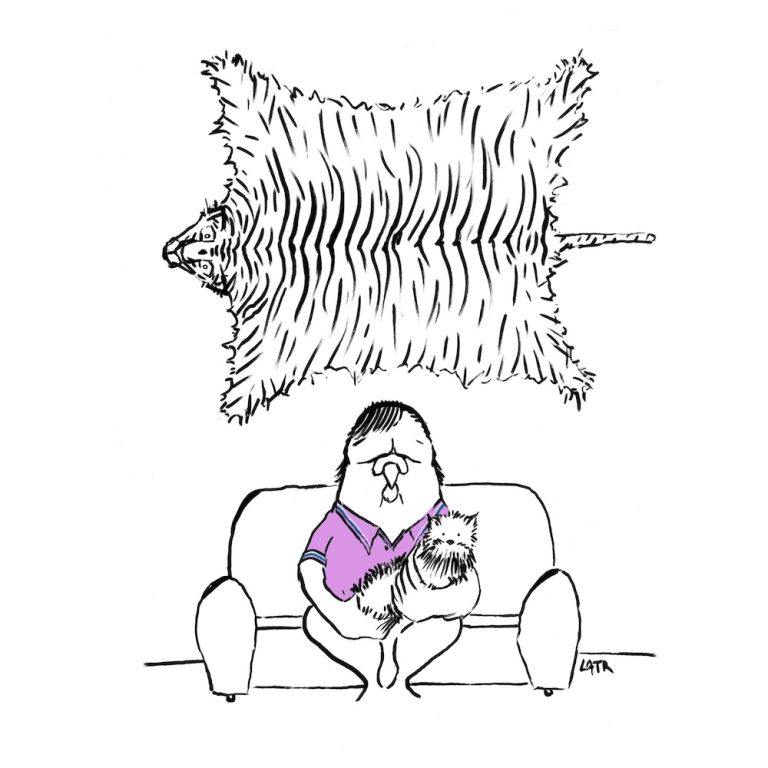 narration visuelle comic strip humour dessin de presse éditorial Critique illustrée Découpage narratif Récit visuel