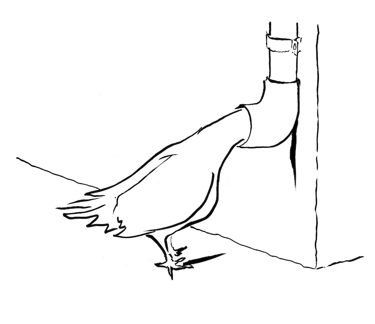 narration visuelle comic strip humour dessin de presse éditorial Critique illustrée Découpage narratif Récit visuel